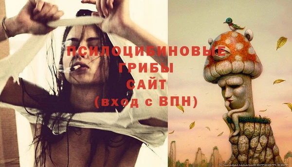 дмт Балабаново