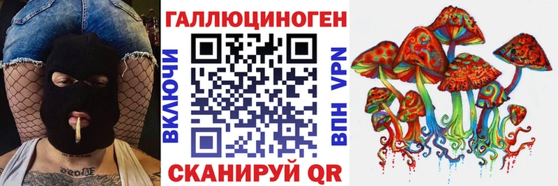 купить наркоту  Энем  Галлюциногенные грибы MAGIC MUSHROOMS 